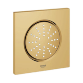 دش مزود برشاش جانبي ذهبي جروهي